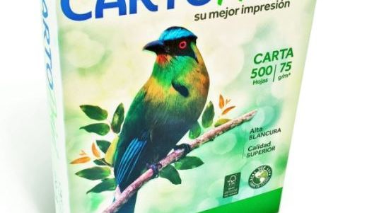Smurfit Kappa visar global ledarskap inom pappersindustrin vid PPI Awards
