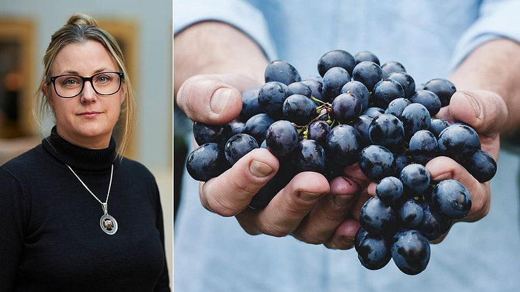 Ett historiskt besked, det säger Sara Sundquist, näringspolitisk expert på Livsmedelsföretagen, om EU-kommissionens klartecken för svensk gårdsförsäljning.