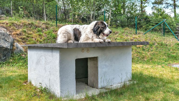 Bygg et isolert hundehus i betong 3