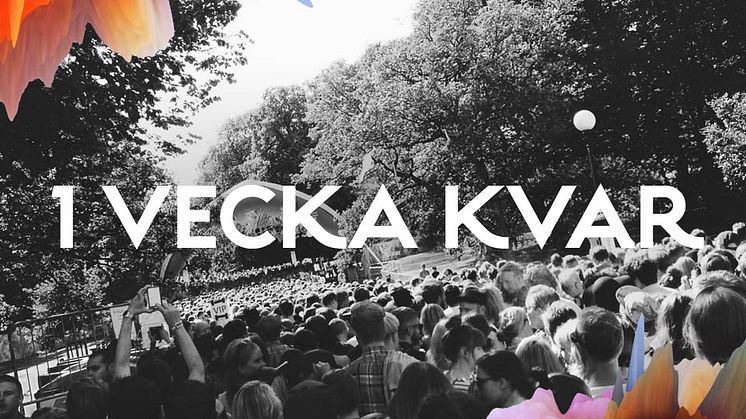 Här är årets spelschema!