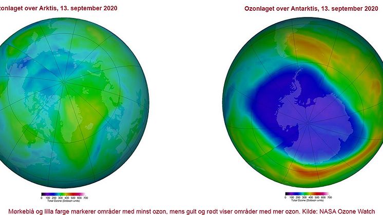 Slik så ozonlaget over henholdsvis Arktis og Antarktis ut 13. september i år. Foto: NASA Ozone Watch, https://ozonewatch.gsfc.nasa.gov/