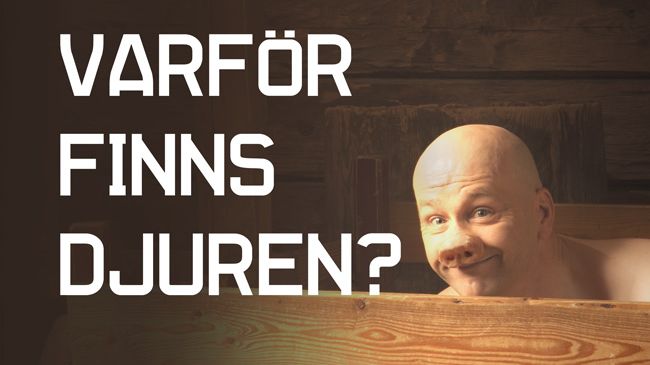Varför finns djuren egentligen?
