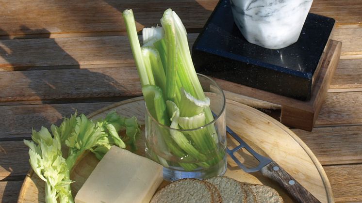 Hole-free Swiss cheese wins the  2012 FreeFrom Food Awards!!