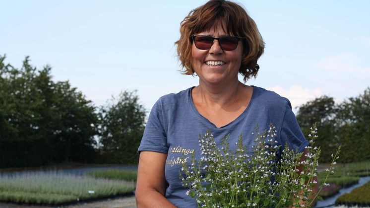 En av Lenas favoritväxter är stenkyndel.