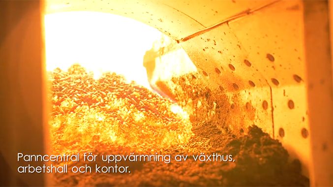 Fossilfri uppvärmning av växthus, arbetshall och kontor + BIOKOL