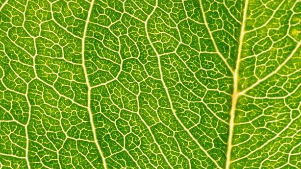 GöteborgsOperan startar ”Klimatutmaning” 
