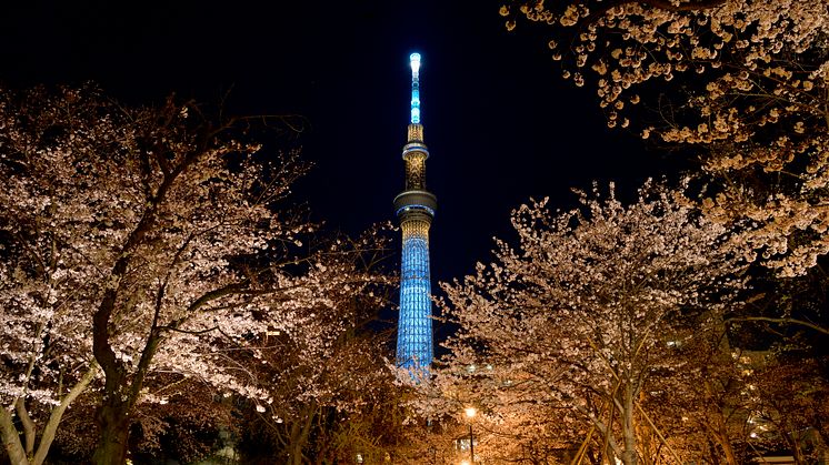 TOKYO SKYTREE at Sumida park