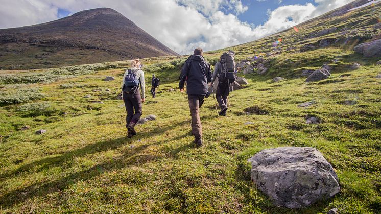 Mot Hambergs glaciär