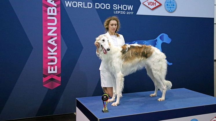 World Dog Show 2017 - German Junior Winner