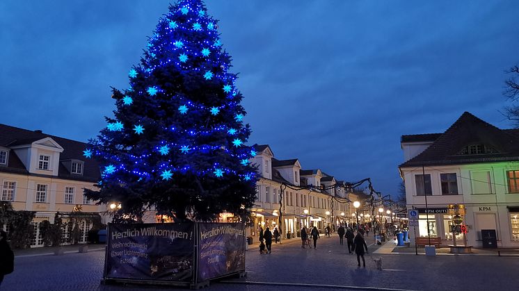Blauer Lichterglanz zur Weihnachtszeit