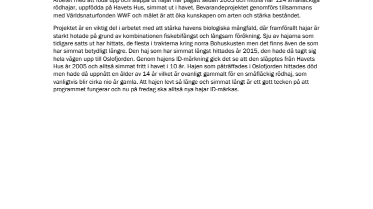 Fredagen den 18 oktober märks hajar på Havets Hus