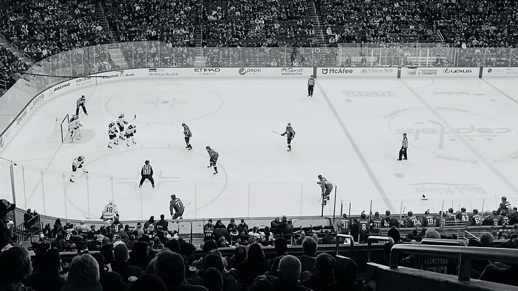 hockey-rink