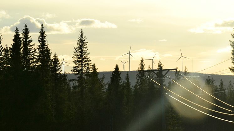 Den totala elproduktionen var hög under året och vindkraft nådde för första gången över 40 TWh. Foto: Sara Ottosson/Mostphotos