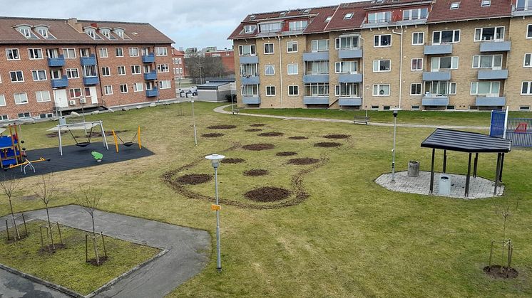 Spaden i marken för HSB Skånes projekt för ökad biologisk mångfald