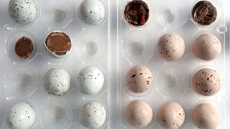 Krämiga chokladägg med en poröst krispig yta från Rococo Chocolates