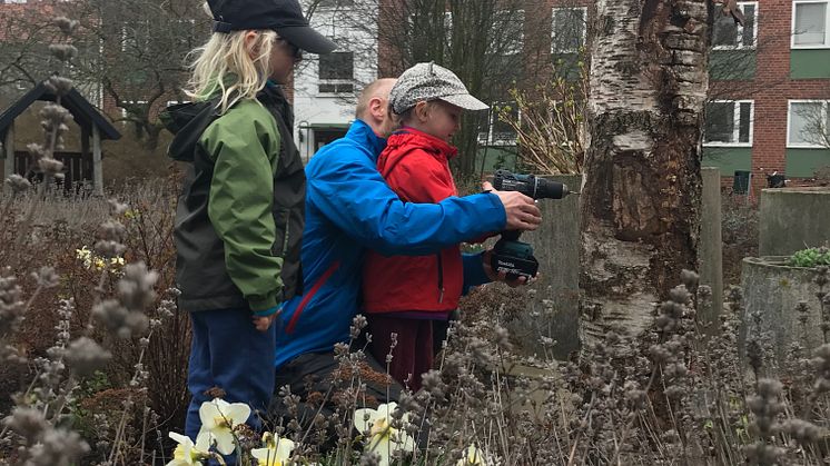 Tillsammans med bland andra boende i området och elever på Stenkulaskolan har MKB skapat hem för de allra minsta djuren i staden. 