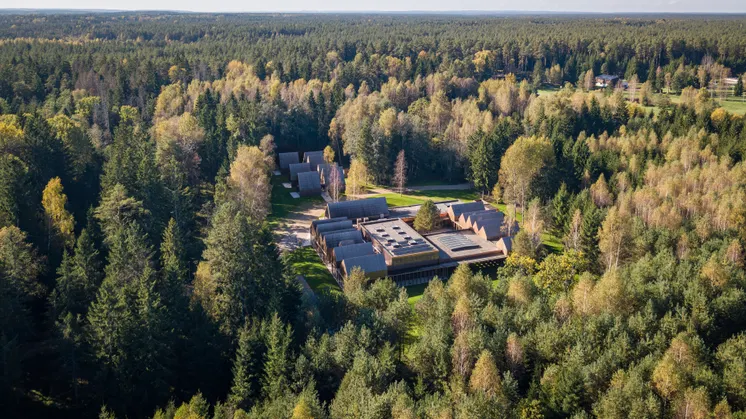 Bestehende Lichtungen, alter Baumbestand und die natürliche Topografie bestimmen die Architektur des SANCTUM Nature Therapy R