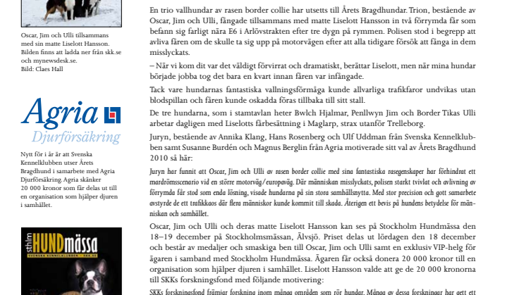 Trio blev Årets Bragdhundar