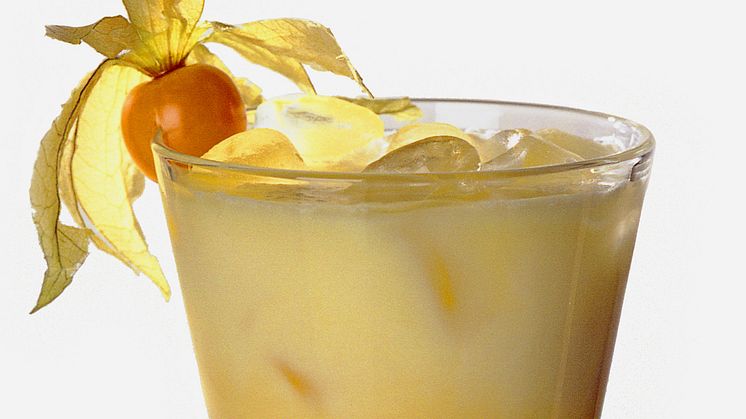 Bols Advocaat