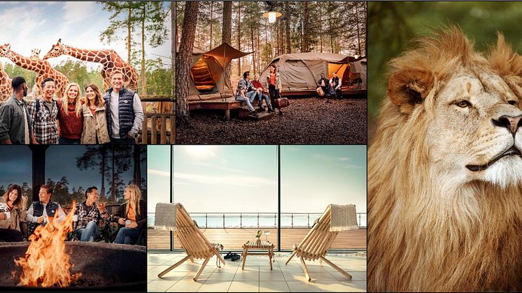 Kolmården auktionerar ut exklusiv safariupplevelse till förmån för Musikhjälpen