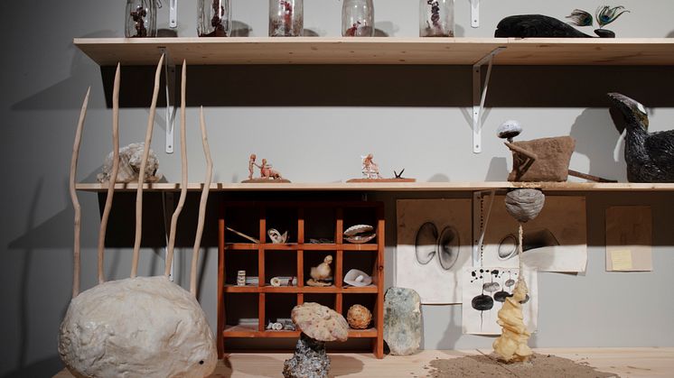 John Jakobsson 'Amongst the wonders of nature', detalj. Symbiosis, Färgfabriken.