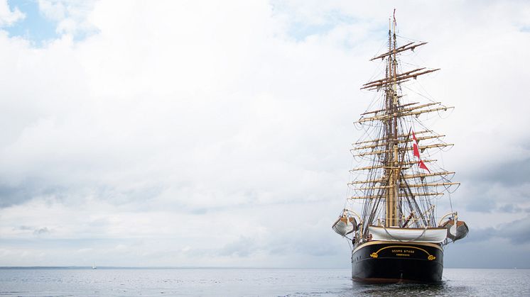 The Tall Ships Race brought new colleagues