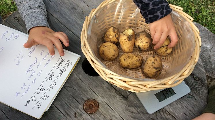 Odlingen och de olika biotoperna är uteklassrummen hos Norrtälje Naturcentrum. Utomhuspedagogik är inte bara kopplat till biologi och naturvetenskap, utan samhällskunskap, historia, matematik och språk.