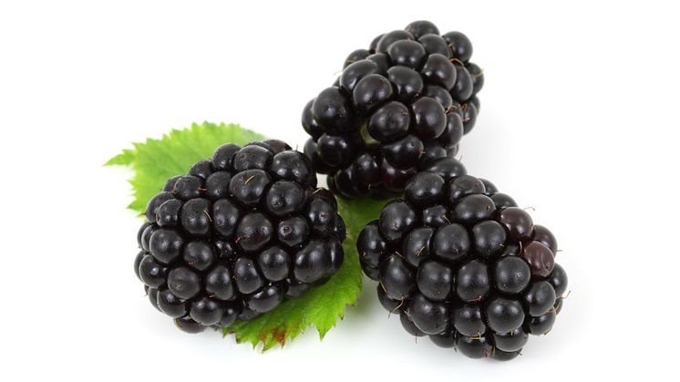 berry-2275_1920