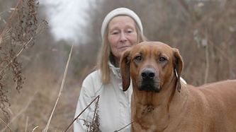 Loppan blev Årets bragdhund