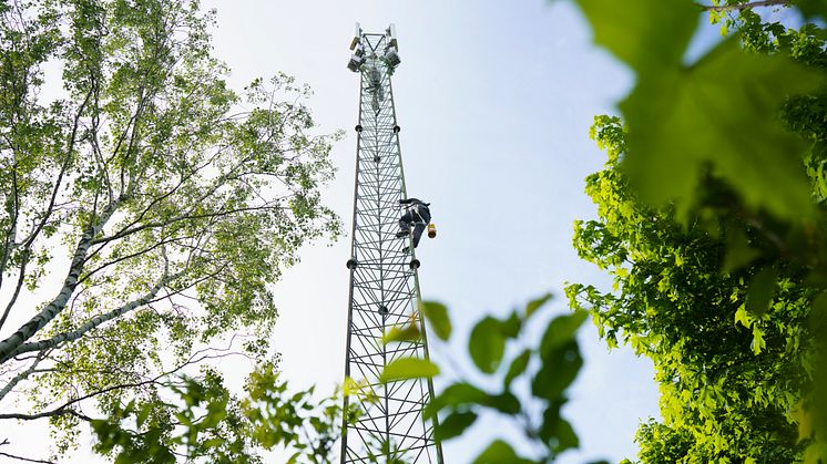 Telenor mast i grønt landskab