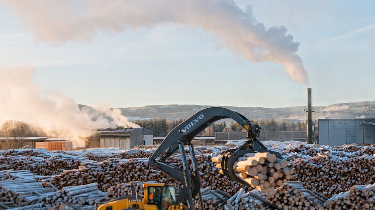 Skognæringen skriver stadig ny historie. Her  ved tømmermålingsanlegget til sagbruksbedriften Moelven Våler AS på Braskereidfoss. Foto: Bård Løken/Anno