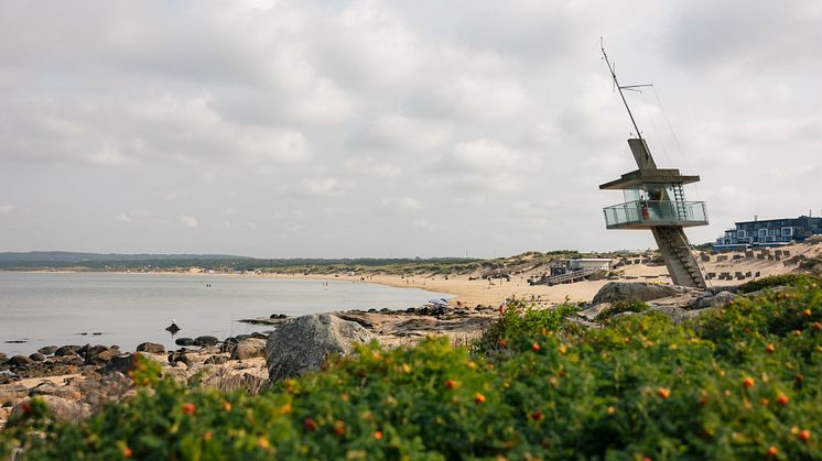Sensommar-Halland_Tylosand2_Halland_FotoAlexanderHall