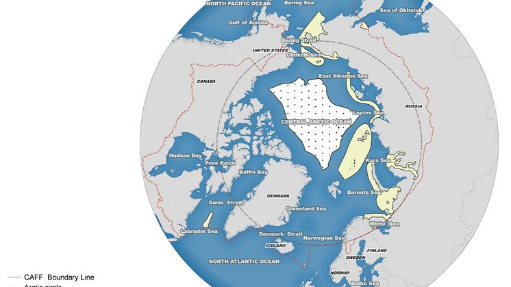 Marina experter samlas: ”Arktis vatten behöver ökat skydd mot klimatförändring och havsförsurning”
