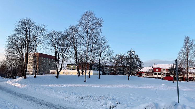 Tomten där trygghetsboendet planeras att byggas.