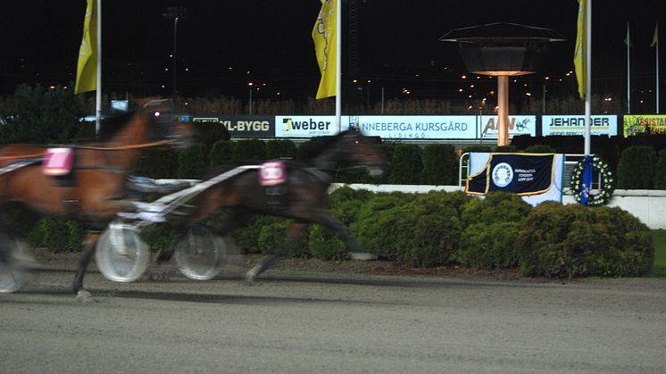 Barndiabetesfonden får eget lopp på Solvalla 31 oktober 