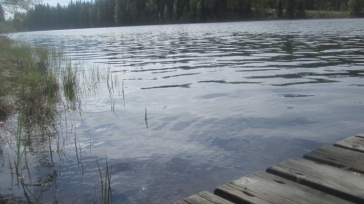 Hållbar vattenkraft i Dalälven