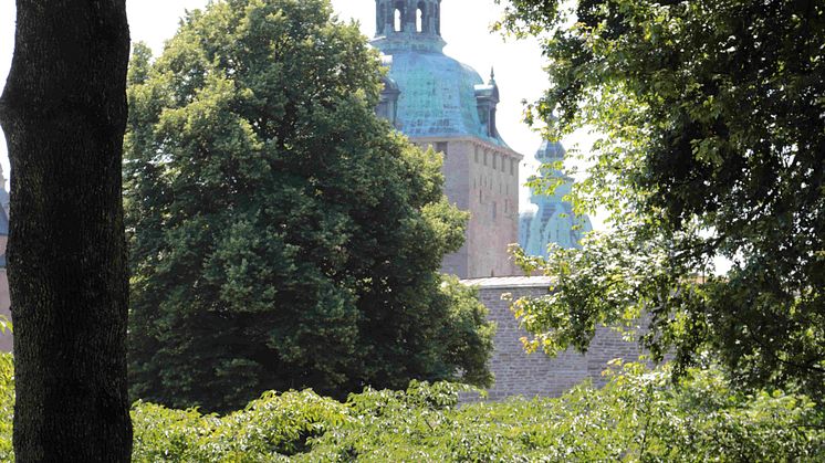 _MG_0403C.jpg