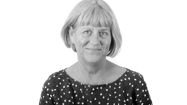 Cecilia Pering är ny ordförande för Sustainable Business Hub AB