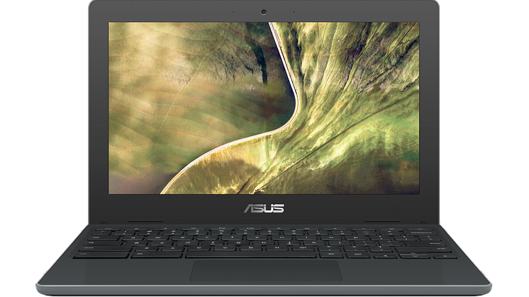 ASUS Chromebook C204