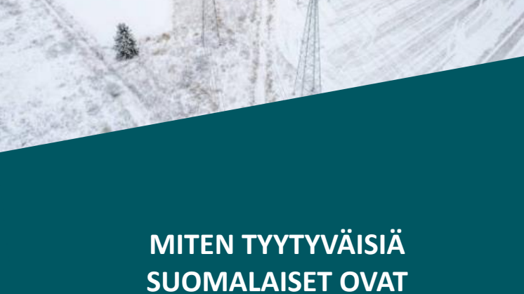 EPSI Sähkönsiirto 2024, Study summary.pdf
