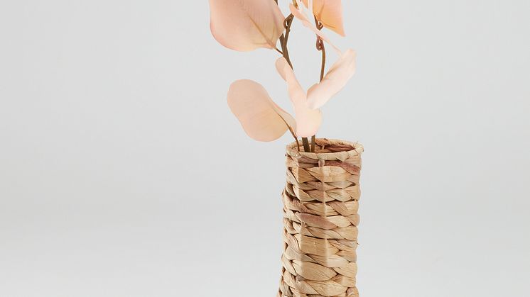 VASE_BJERKE.tif