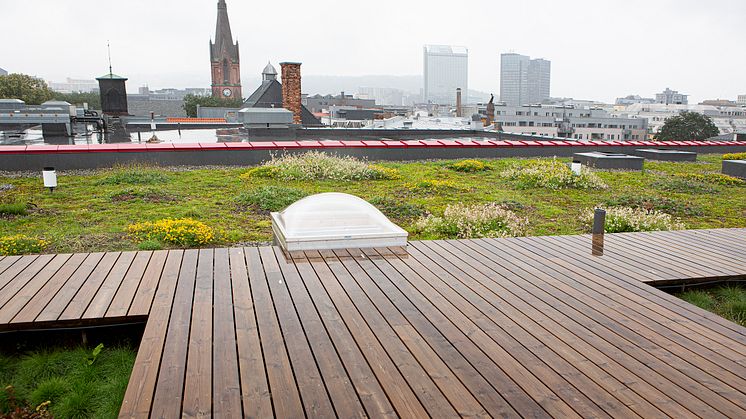 Illustrasjonsbilde: Taket på Vega scene er bygget for å håndtere overvann effektivt. Foto: Èse Holte.