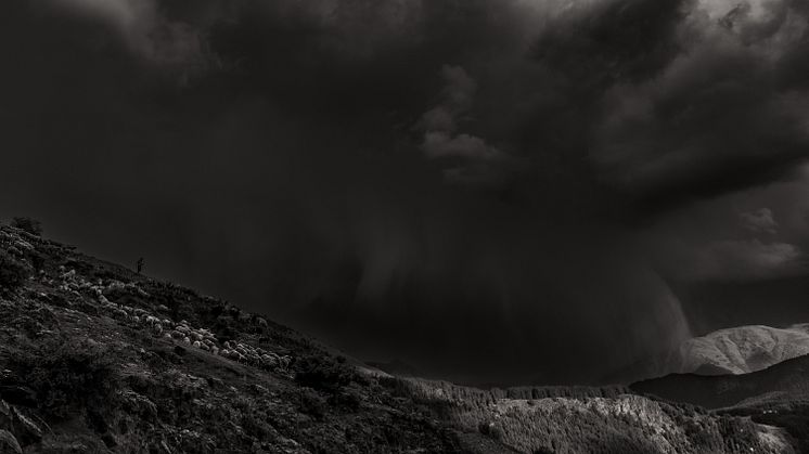 Maurice Wolf - Sheep drive in Tusheti05.jpg