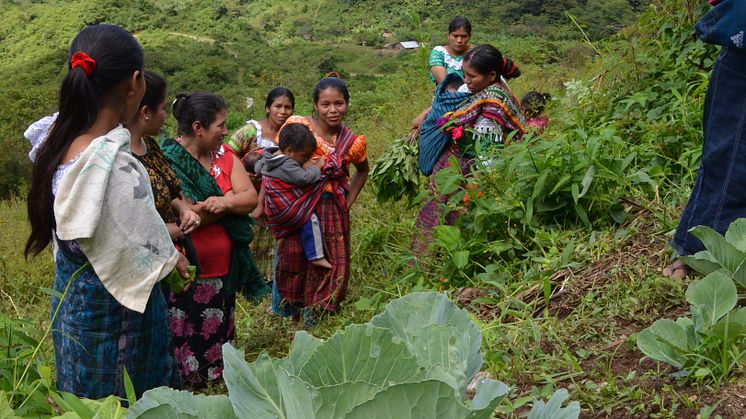 Bygdekvinner i Guatemala