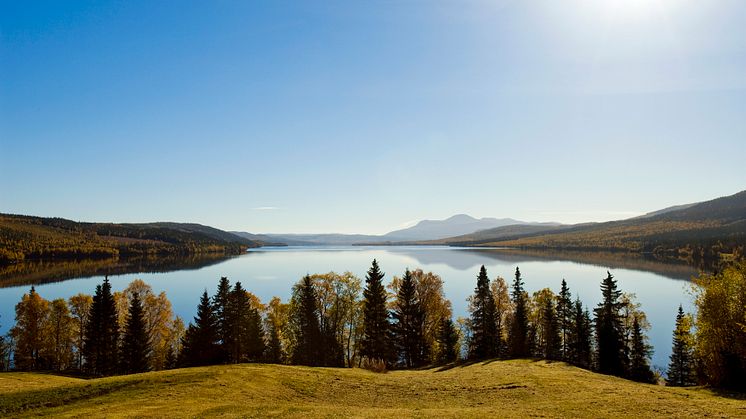 Nya Solmärket, alla 10 000 märken gick åt
