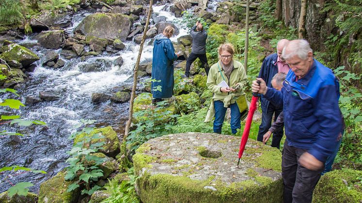 Vattenvandring längs Mölndalsån med Mölndalsåns vattenråd. Foto: Peter Nolbrant