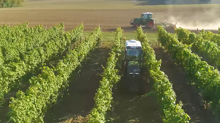 fendt 200 vario für wein und obstbau.png