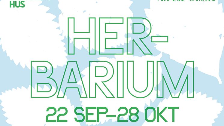 Utställningen Herbarium sätter växten i centrum