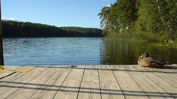 Rösjön i Sollentuna
