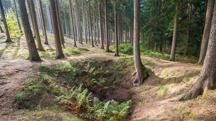 Über Jahrhunderte durchlöchert: Aus Schritt und Tritt begegnet der Wanderer Bergbauzeugen aus Mittelalter und Früher Neuzeit (Foto: Georg Ulrich Dostmann)
